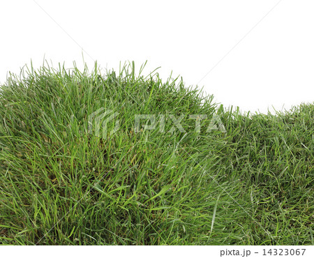 Grass Hill Cutout 14323067