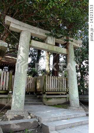 京都三珍鳥居 伴氏社の鳥居 京都三珍鳥居 伴氏社の鳥居 14323153