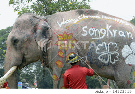ASIA THAILAND AYUTTHAYA SONGKRAN FESTIVAL 14323519