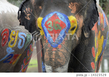 ASIA THAILAND AYUTTHAYA SONGKRAN FESTIVAL 14323529