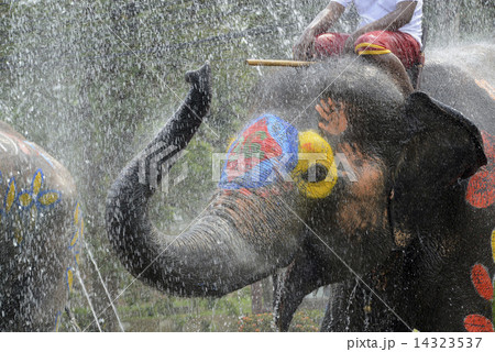 ASIA THAILAND AYUTTHAYA SONGKRAN FESTIVAL 14323537