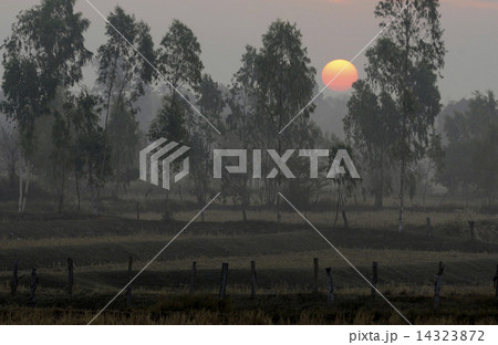 ASIA THAILAND ISAN AMNAT CHAROEN ASIA THAILAND ISAN AMNAT CHAROEN 14323872