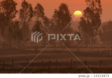 ASIA THAILAND ISAN AMNAT CHAROEN 14323873