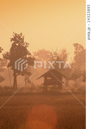 ASIA THAILAND ISAN AMNAT CHAROEN 14323895