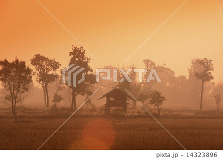 ASIA THAILAND ISAN AMNAT CHAROEN 14323896