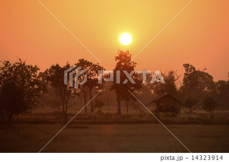 ASIA THAILAND ISAN AMNAT CHAROEN 14323914