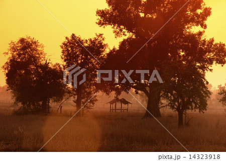 ASIA THAILAND ISAN AMNAT CHAROEN 14323918