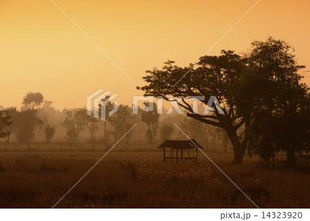 ASIA THAILAND ISAN AMNAT CHAROEN 14323920