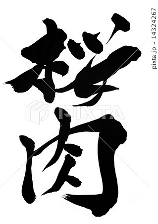 筆文字 桜肉 14324267