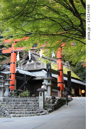 平野屋　 14324496