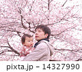 桜　父　こども 14327990