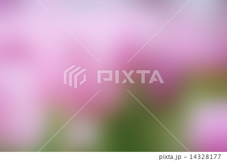 abstract pink blur background abstract pink blur background 14328177