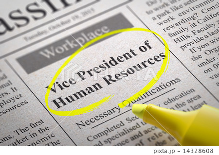 Vice President of Human Resources Vacancy in Newspaper. 14328608