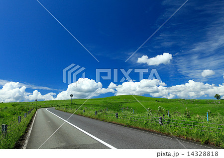 夏の秋吉台 夏の秋吉台 14328818