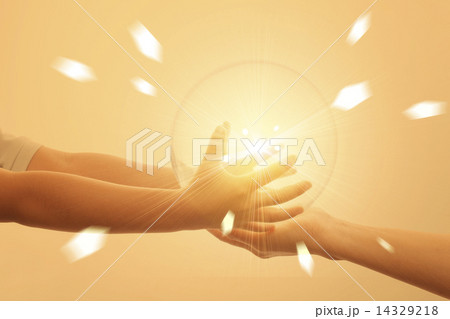 親子の手 14329218