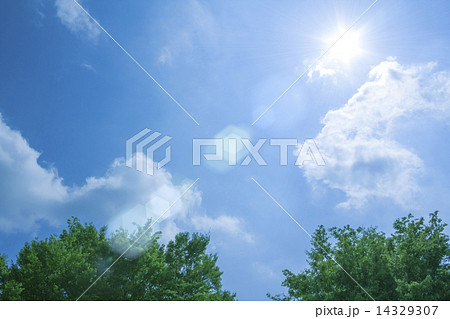 空と木々 14329307