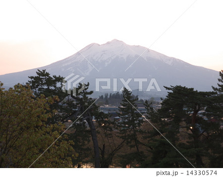 みちのく桜紀行・岩木山 14330574