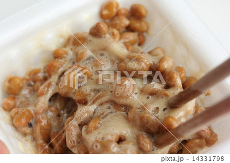 納豆 納豆 14331798