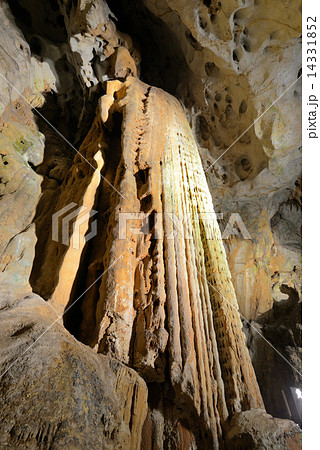 秋芳洞 黄金柱 秋芳洞 黄金柱 14331852