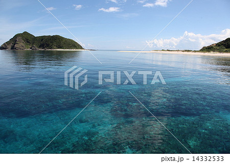 沖縄県 慶良間諸島国立公園 儀志布島 南国 南の島 海 スキューバダイビング 沖縄離島 渡嘉敷島 無人島 沖縄の景色 ケラマ諸島 水面 海遊び 沖縄観光 沖縄ダイビング ダイビング沖縄 沖縄旅行 沖縄県 慶良間諸島国立公園 儀志布島 南国 南の島 海 スキューバダイビング 沖縄離島 渡嘉敷島 無人島 沖縄の景色 ケラマ諸島 水面 海遊び 沖縄観光 沖縄ダイビング ダイビング沖縄 沖縄旅行 14332533