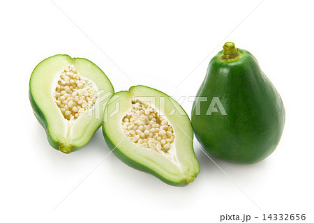青パパイヤ 14332656