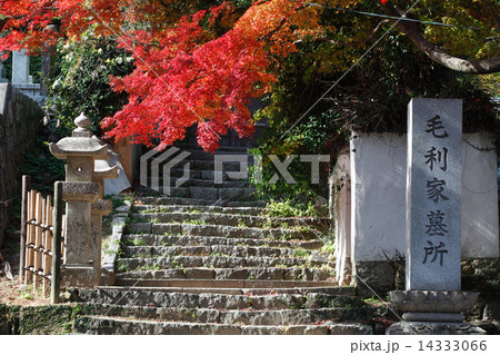 長府　功山寺・毛利家墓所 14333066