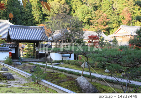 大池寺 大池寺 14333449