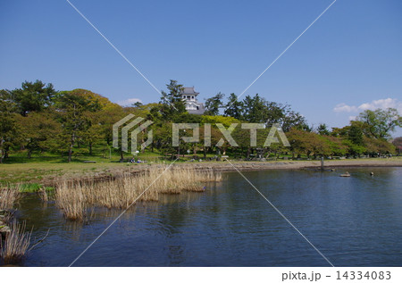 長浜城06 14334083