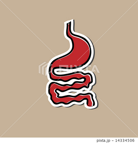 Stomach and intestine sticker drawing cartoon Stomach and intestine sticker drawing cartoon 14334506