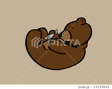 Brown bear with small fish 14334645