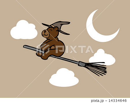 Brown bear wizard in night sky 14334646