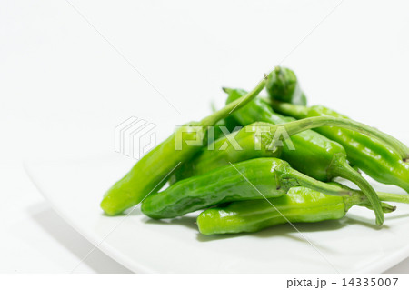 ししとう ししとう 14335007