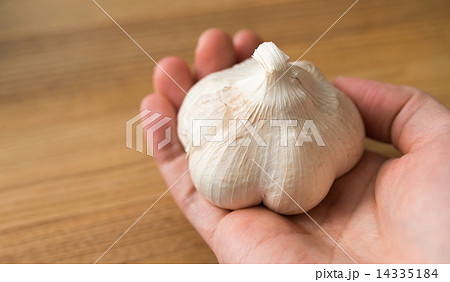 にんにく 14335184