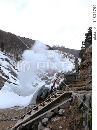 渋の地獄谷噴泉 渋の地獄谷噴泉 14335790