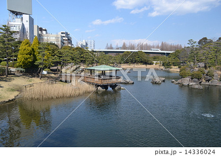 しながわ区民公園・品川水族館（品川水族館手前の池） 14336024