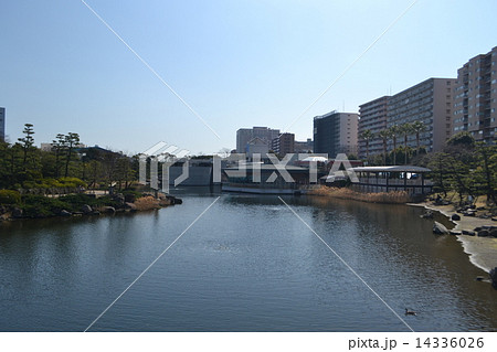 しながわ区民公園・品川水族館（品川水族館手前の池） 14336026