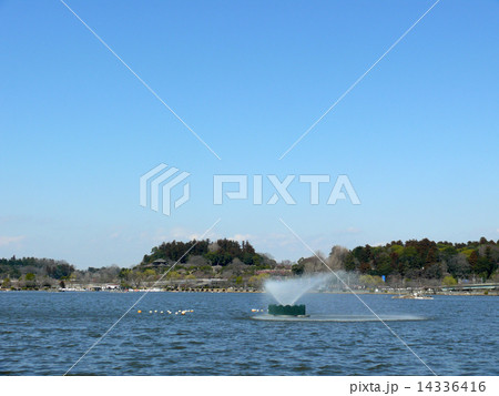 千波湖から偕楽園を望む 14336416