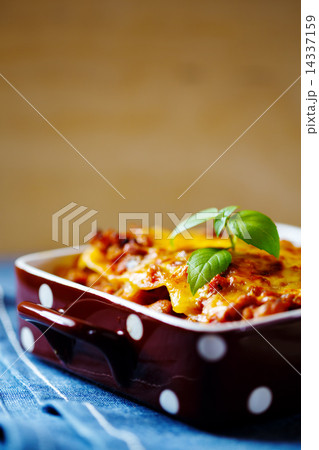 Italian Food. Lasagna plate. Italian Food. Lasagna plate. 14337159