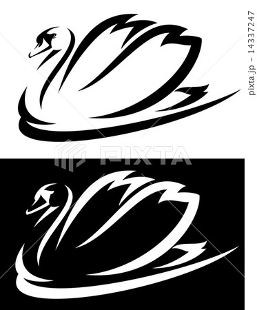 mute swan (Cygnus olor) bird black and white vector design 14337247