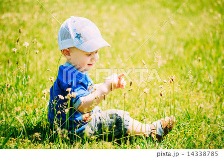 Happy Little Boy Child Sit In Summer Green Grass Meadow 14338785