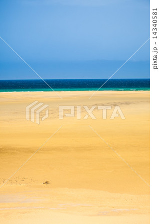 Beach on Atlantic ocean coast 14340581