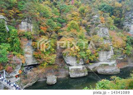 塔のへつり 14341089