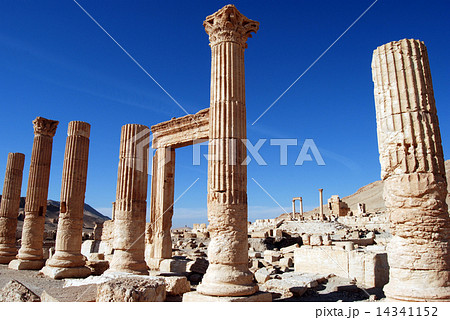 パルミラ遺跡　ディオクレティアン 14341152