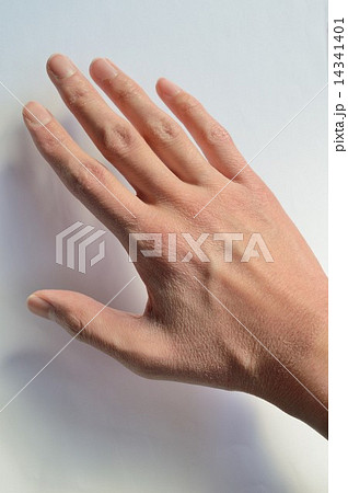 乾燥肌の手の写真素材