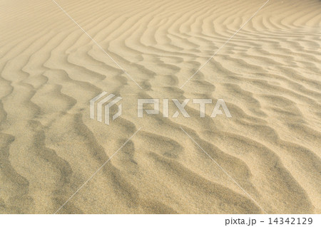 The Texture Of The Sand Dunes の写真素材