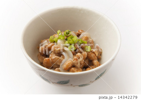 イカ納豆 14342279