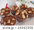 ココアカップケーキ 14342356