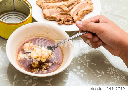 Stew pork slice and solidified fats from canned food Stew pork slice and solidified fats from canned food 14342739