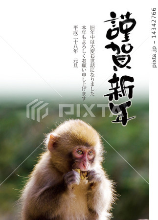 謹賀新年　子ざる 14342766
