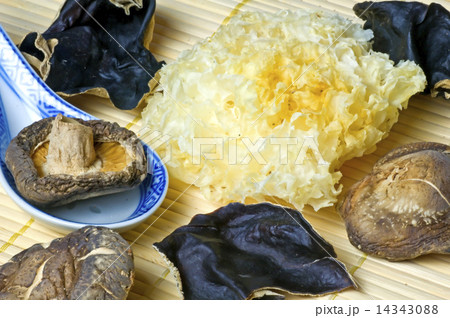 Shiitake and jews ear mushroom 14343088